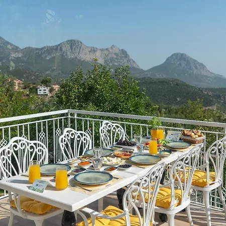 Apa Mountain فندق
